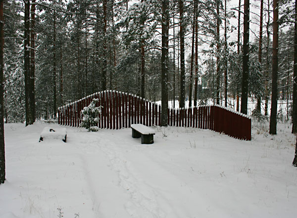 Surujenpuisto talvella